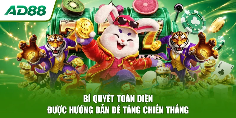 Bí quyết toàn diện được hướng dẫn để tăng chiến thắng